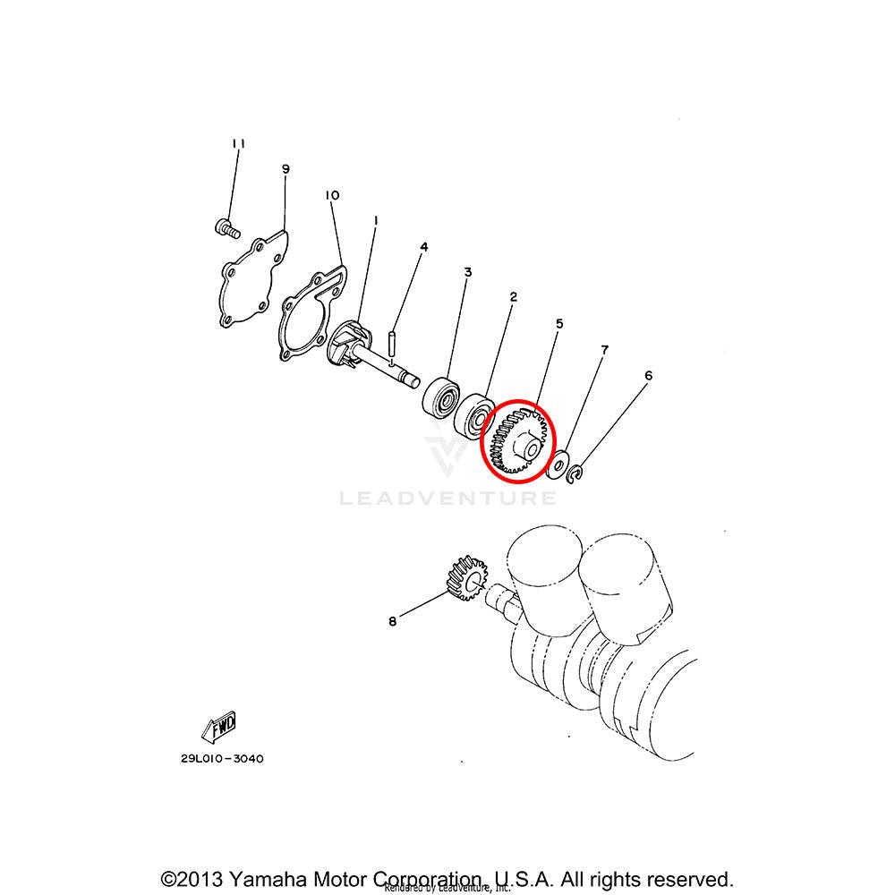 Banshee Water Pump Gear
