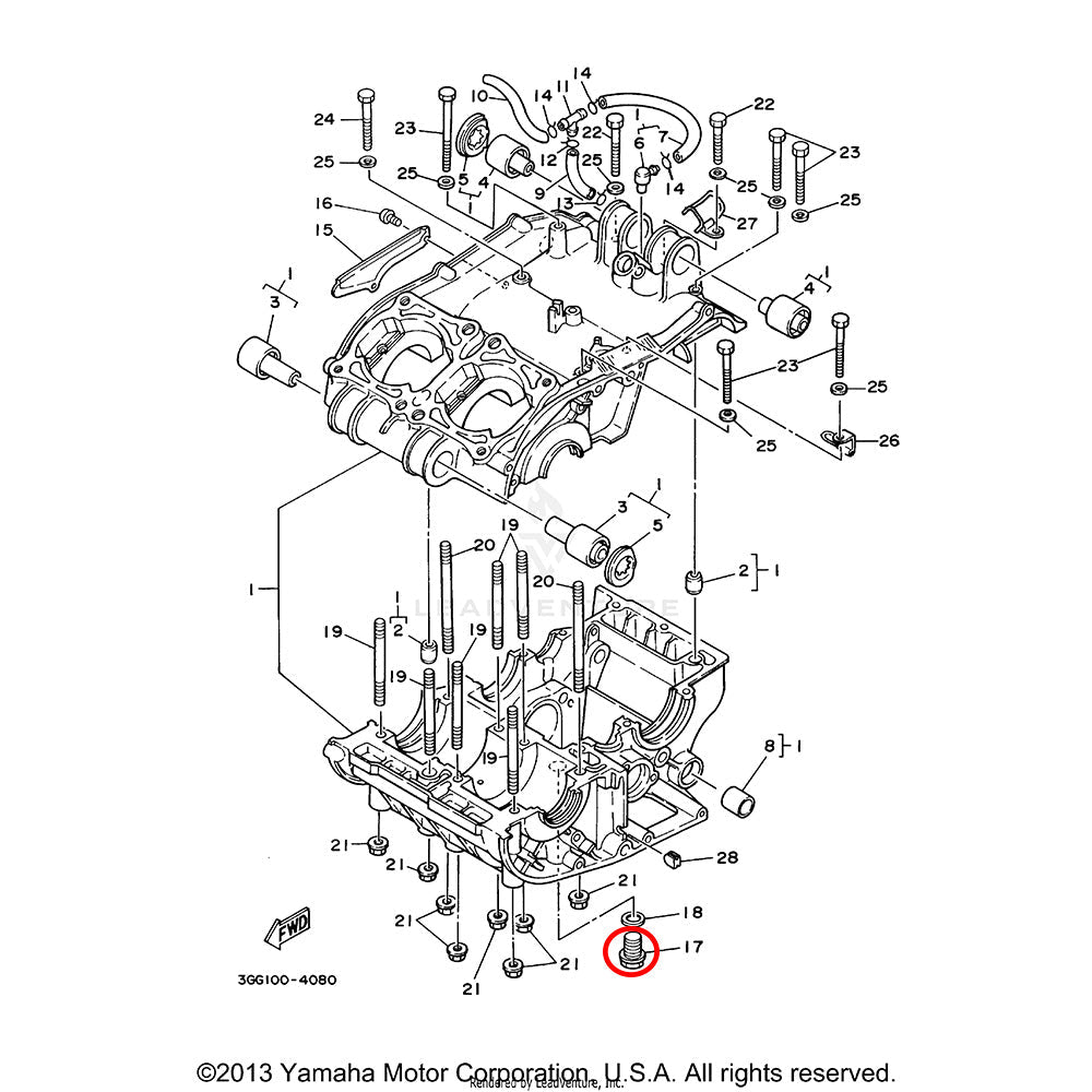 OEM Banshee Drain Plug