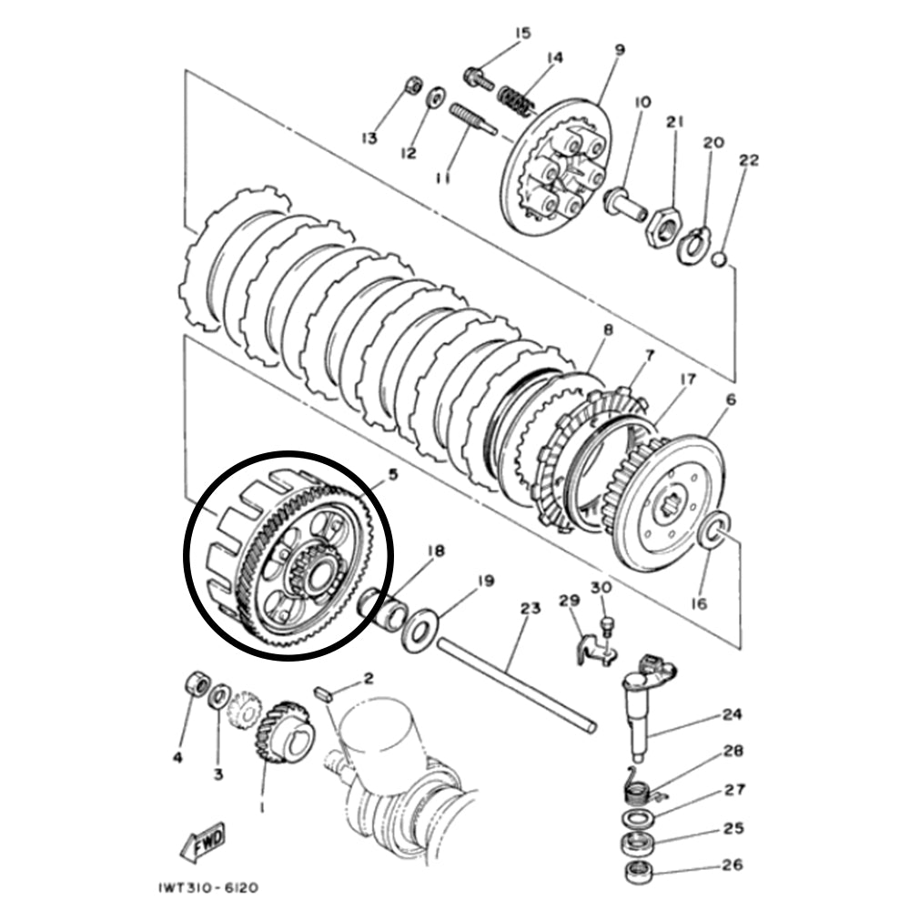 Banshee Clutch Basket