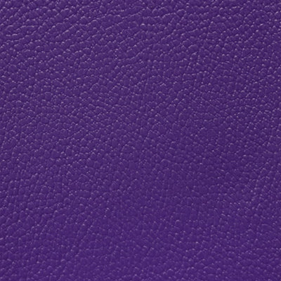 Gripper Purple AS-109