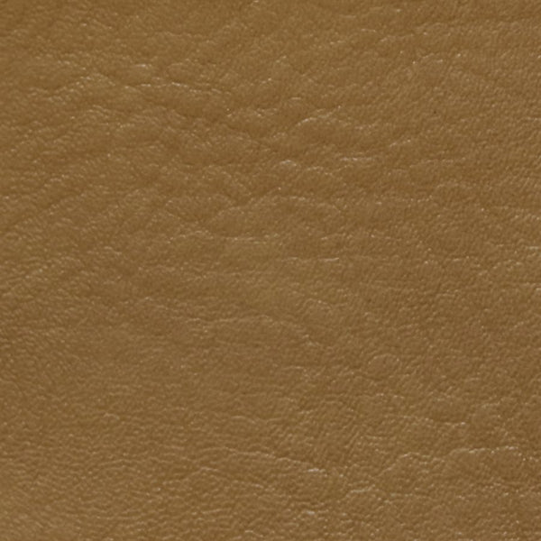 Caramel TRA-6637