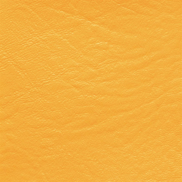 Pastel Orange TRA-6639