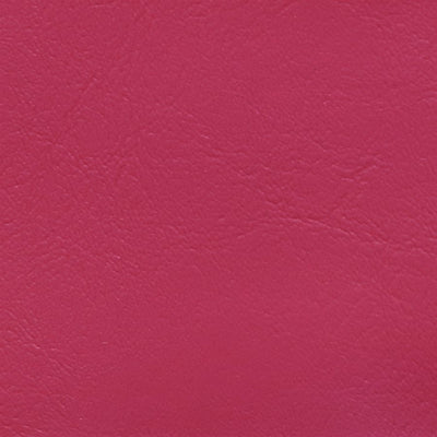Hibiscus WIS-741