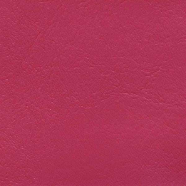 Hibiscus WIS-741