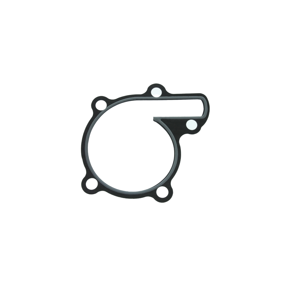 OEM Banshee Water Pump Gasket
