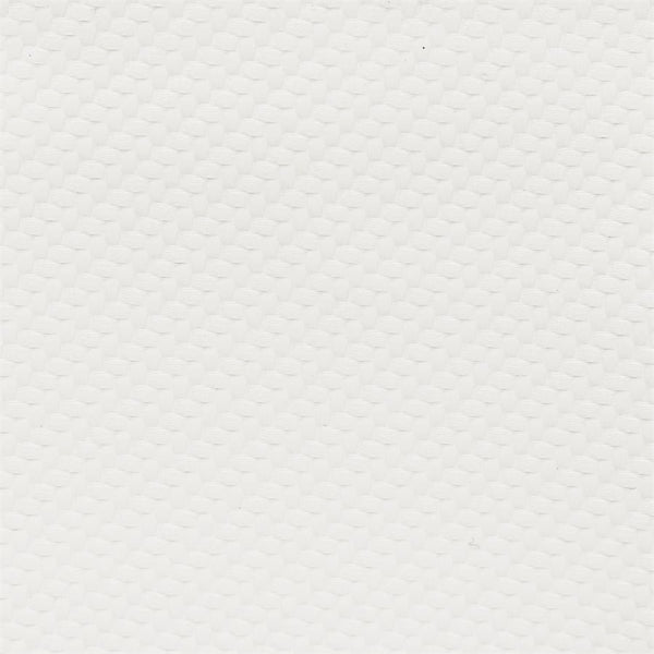 White Carbon CAR-1100